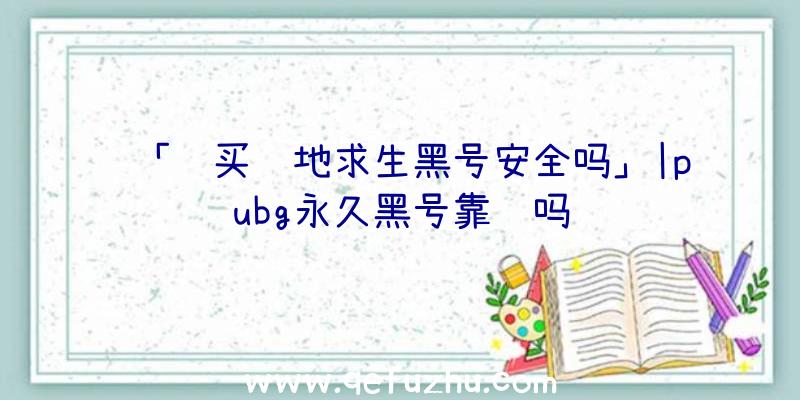 「购买绝地求生黑号安全吗」|pubg永久黑号靠谱吗